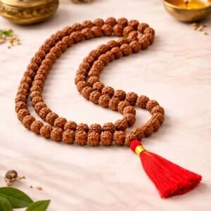 Rudraksha Mala Powerful Shield of Growth & Positivity Unisex Mala for Men & Women